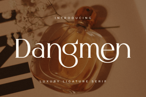 Dangmen: A Refined Serif Typeface for Web Design