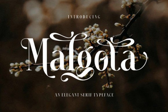 Malgota: The Serif Typeface for Elegant Branding