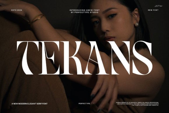 Tekans: A Serif Font for Clear Campaigns